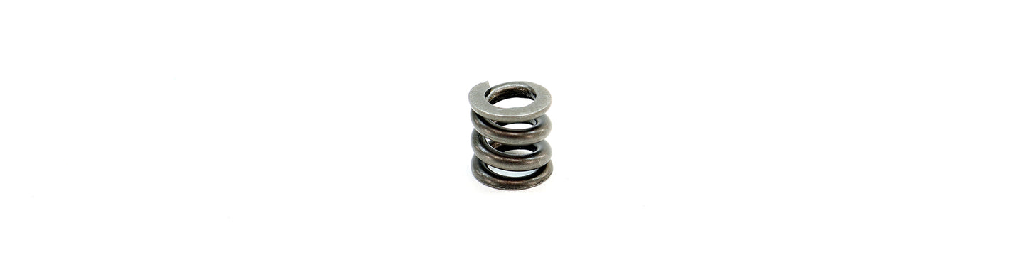 Micro Reg, UGS and CGS Spring